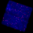 Photo of Galactic Plane